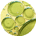 Panthenol