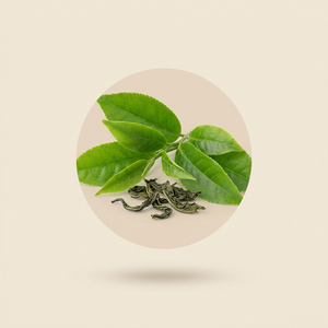Groene thee