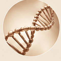 PDRN (natrium-DNA)